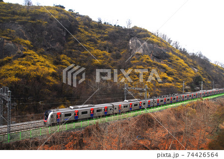 風景 都市 都会 74426564