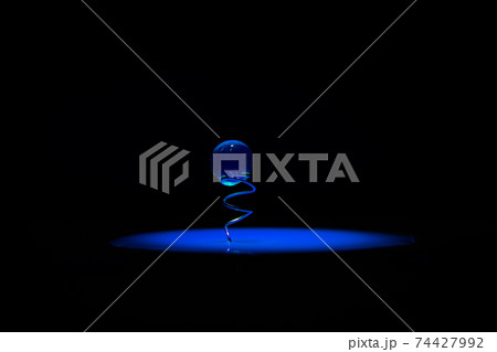 地球　イメージ 74427992