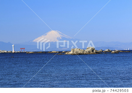 湘南三浦半島の逗子市・葉山町の冬 湘南三浦半島の逗子市・葉山町の冬 74429503