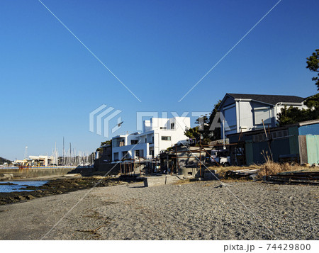 湘南三浦半島の逗子市・葉山町の冬 74429800