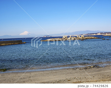湘南三浦半島の逗子市・葉山町の冬 湘南三浦半島の逗子市・葉山町の冬 74429826