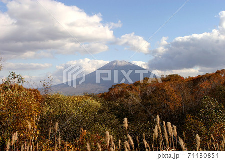 紅葉と羊蹄山 蝦夷富士 北海道秋の写真素材