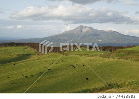 きじひき高原から望む駒ヶ岳 74433883