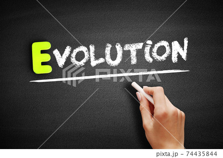 Hand writing Evolution on blackboard, concept background 74435844