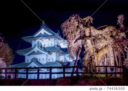 青森 弘前公園の満開の桜ライトアップと弘前城の写真素材