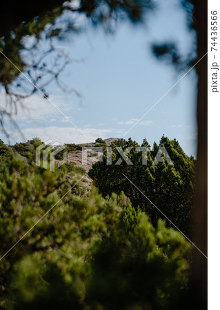 View of the top of the mountain from behind a tree, blue sky View of the top of the mountain from behind a tree, blue sky 74436566