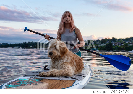 Girl with a dog on a paddle board Girl with a dog on a paddle board 74437120