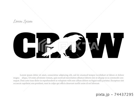 Black crow silhouette on white background. Isolated raven logo 74437295