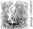 bonfire at night, pencil drawing. High contrast fire background 74438037