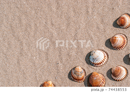 Summer concept background with seashells, shells on sand tropical sea beach. Design of summer vacation holiday concept. 74438553