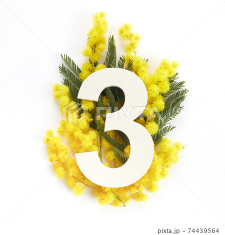 Layout with mimosa folwers and number three. Flat lay. Top view Layout with mimosa folwers and number three. Flat lay. Top view 74439564