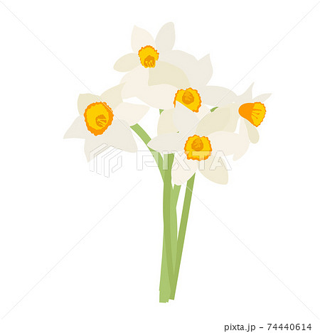 Bouquet of spring flowers daffodils isolated on white background EPS10 74440614