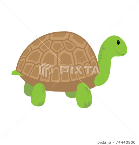 Cartoon turtle. Illustration isolated on white... - Stock Illustration  [74440900] - PIXTA