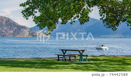 Recreational area under the crown of big chestnut tree with the lake overview Recreational area under the crown of big chestnut tree with the lake overview 74442589