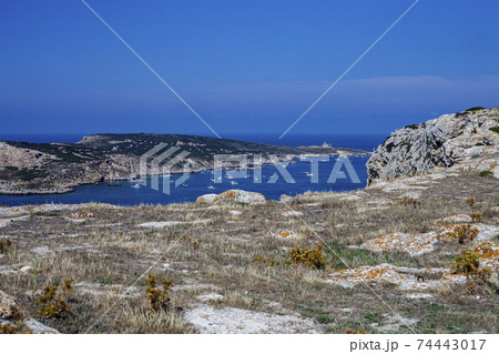 View of the Tremiti Islands. San Domino island, Italy: scenic view of tipycal rocky coastline. 74443017