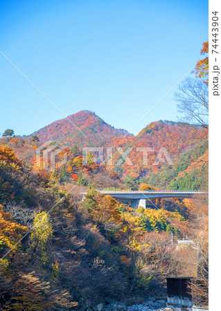 諏訪峡　遊歩道より 秋の景色　みなかみ町　　　 74443904