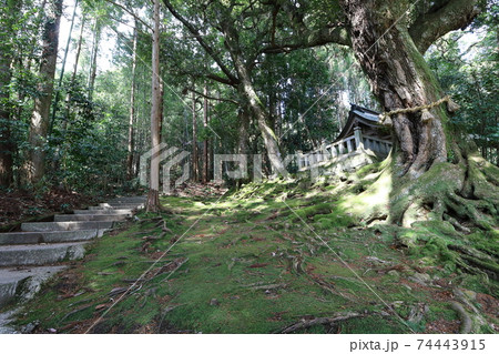 赤猪岩神社 赤猪岩神社 74443915