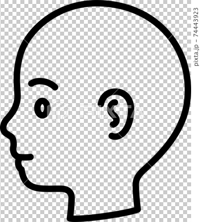 頭部イメージ図版3：側面からみた頭 74443923