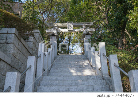 神社仏閣　多摩川浅間神社の参道　東京都大田区 74444077
