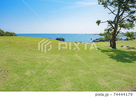 5月晴れの美しい種差海岸の写真素材 74444179