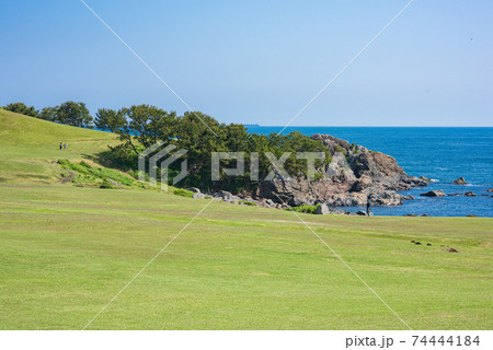 5月晴れの美しい種差海岸の写真素材 5月晴れの美しい種差海岸の写真素材 74444184