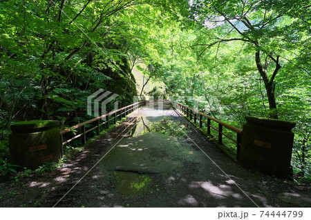 山梨県西沢渓谷の風景 山梨県西沢渓谷の風景 74444799