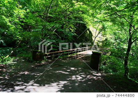 山梨県西沢渓谷の自然の景色 山梨県西沢渓谷の自然の景色 74444800