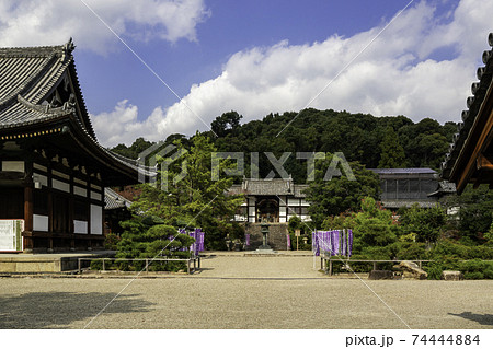 叡福寺 二天門 大阪府南河内郡太子町 叡福寺 二天門 大阪府南河内郡太子町 74444884