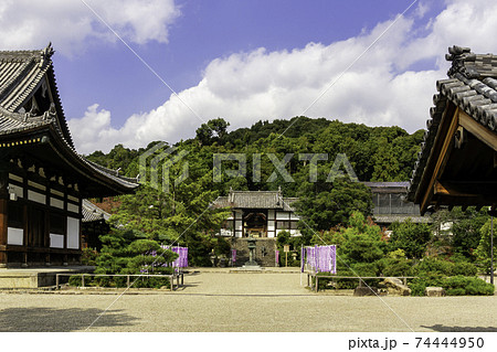 叡福寺 二天門 大阪府南河内郡太子町 叡福寺 二天門 大阪府南河内郡太子町 74444950