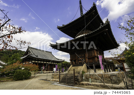 叡福寺　宝塔と金堂　大阪府南河内郡太子町 74445065