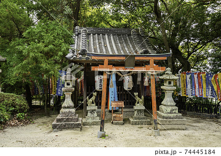 科長神社 金平大明神 大阪府南河内郡太子町 科長神社 金平大明神 大阪府南河内郡太子町 74445184