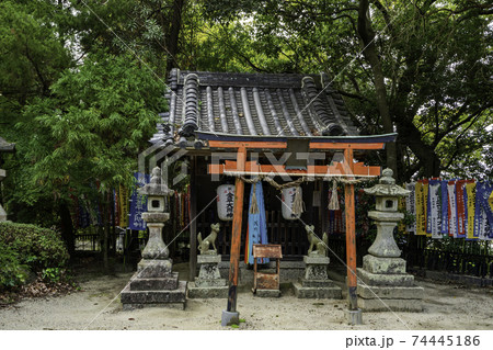 科長神社 金平大明神 大阪府南河内郡太子町 科長神社 金平大明神 大阪府南河内郡太子町 74445186