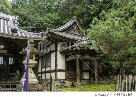 科長神社　社殿　大阪府南河内郡太子町 74445264