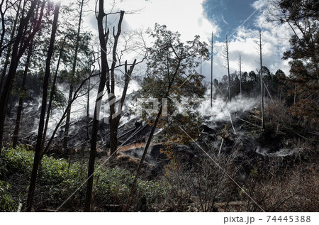 蒸気が出ている山 74445388
