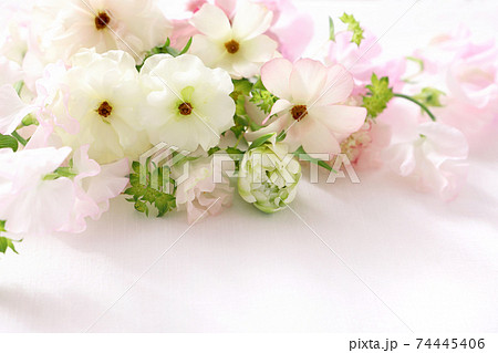 ラナンキュラスのブーケ　春の花束 74445406