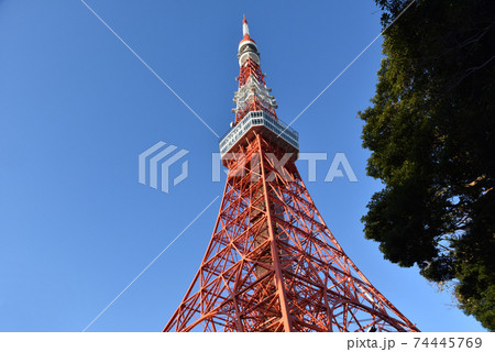 東京タワー 2021年 冬 東京タワー 2021年 冬 74445769
