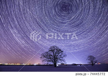 ハルニレの木 星の光跡風景 ハルニレの木 星の光跡風景 74445772