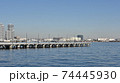 横浜みなとみらい地区 ハンマーヘッドパーク 74445930