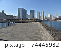 横浜みなとみらい地区 象の鼻パーク 74445932