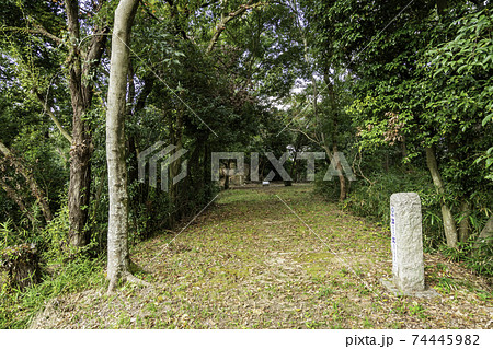 河内源氏発祥の地　通法寺跡　源義家墓周辺　大阪府羽曳野市 74445982