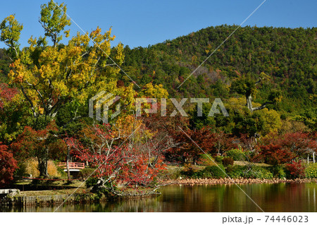 秋のイメージ　京都大覚寺大沢池の紅葉　天神島 74446023