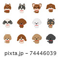 犬　12犬種　おすわり 74446039