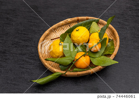 国産ゆず Citron fruit 74446061