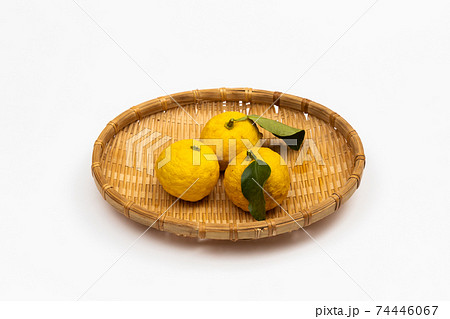 国産ゆず Citron fruit 国産ゆず Citron fruit 74446067