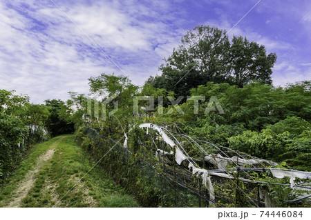 河内源氏発祥の地 通法寺跡 源頼信墓周辺 大阪府羽曳野市 河内源氏発祥の地 通法寺跡 源頼信墓周辺 大阪府羽曳野市 74446084