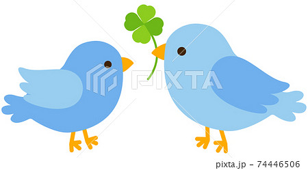 二羽の青い鳥とクローバー 二羽の青い鳥とクローバー 74446506