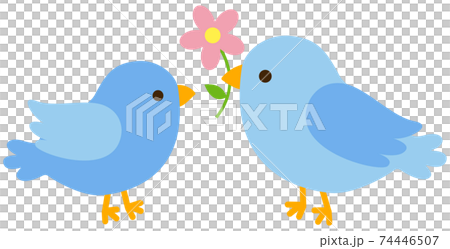 兩個藍鳥和花 74446507