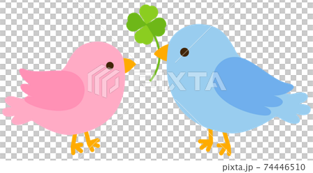 Blue bird and pink bird holding a clover Blue bird and pink bird holding a clover 74446510