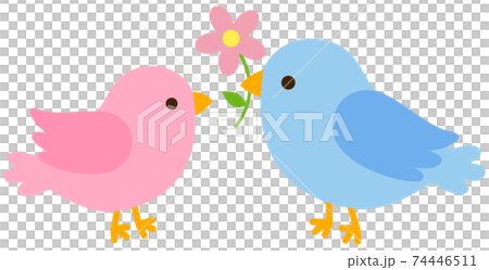 Blue bird and pink bird with flowers Blue bird and pink bird with flowers 74446511