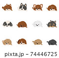 犬　12犬種　休憩 74446725